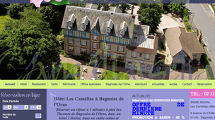 Les Camélias