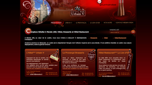 Hôtel Le Lion d’Or 