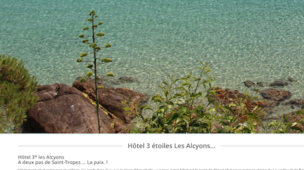 Hôtel les Alcyons