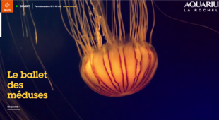 Aquarium La Rochelle