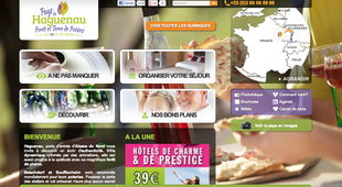 Office de Tourisme d'Haguenau