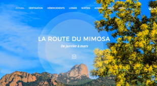 Office du Tourisme de Saint-Raphael