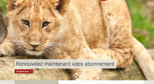 Zoo d'Anvers