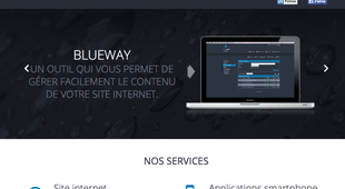 Blueleaf - Agence web